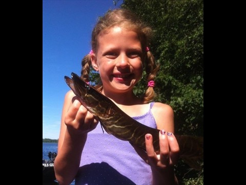 Amanda's Striped Esox