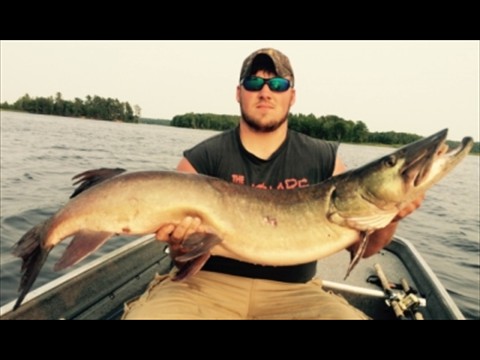Andrew Jordan 48.5 musky