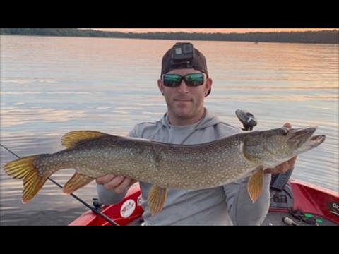 big northern pike