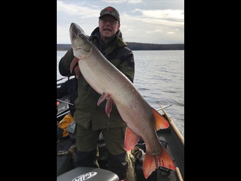 fall trophy
