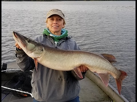 first jerkbait musky!