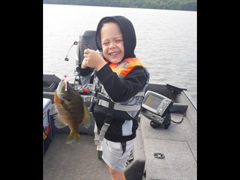 grandson's big bluegill