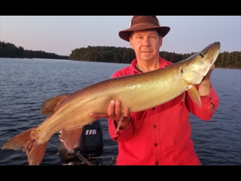lucky red shirt does it again!