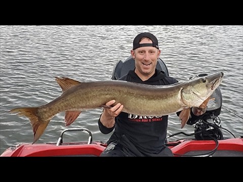 nice fish!