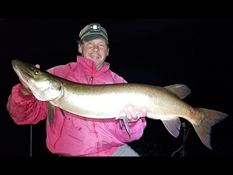 night fishing is good
