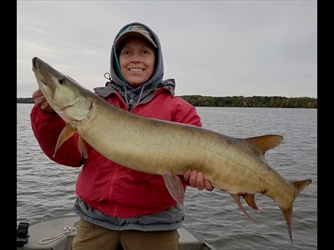 turnover musky